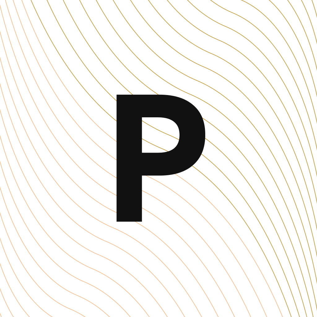 paarl.io Logo